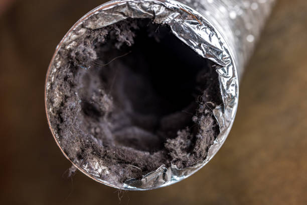 Best Emergency Air Duct Cleaning  in Port Barrington, IL