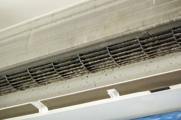 Best Affordable HVAC Duct Cleaning  in Port Barrington, IL